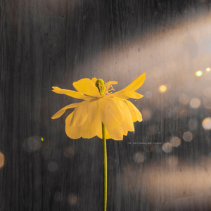 浪小辉老师做O野外3p
